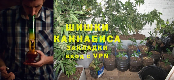 прущие крисы Елабуга