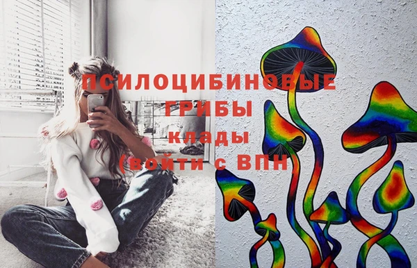 трава Елизово