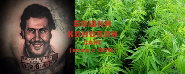 прущие крисы Елабуга