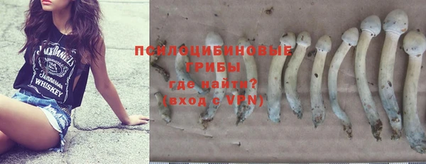 бутират Сосновоборск