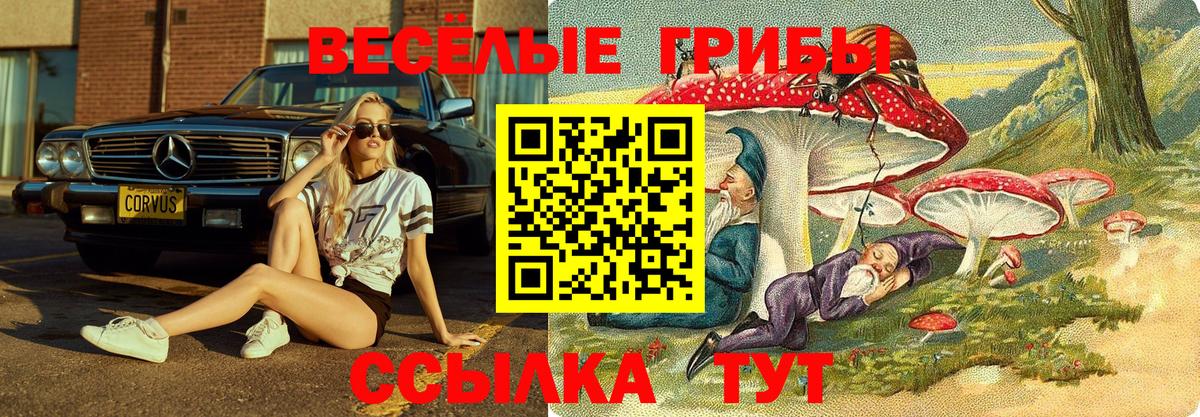 Сочи  Псилоцибиновые грибы мухоморы  Вход с VPN  Галлюциногенные грибы MAGIC MUSHROOMS 
