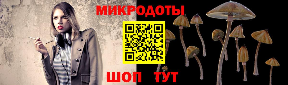 Галлюциногенные грибы Psilocybe Сочи